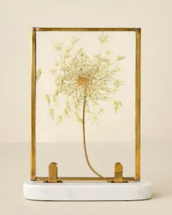 VND7372 ACUBE KRAFT PVT LTD Antique Brass Bracket Photo Frame