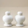 VND7817 FOXSTONE DEVELOPMENT CO.,LTD Antique White Margaret Vintage-Inspired Salt + Pepper Set