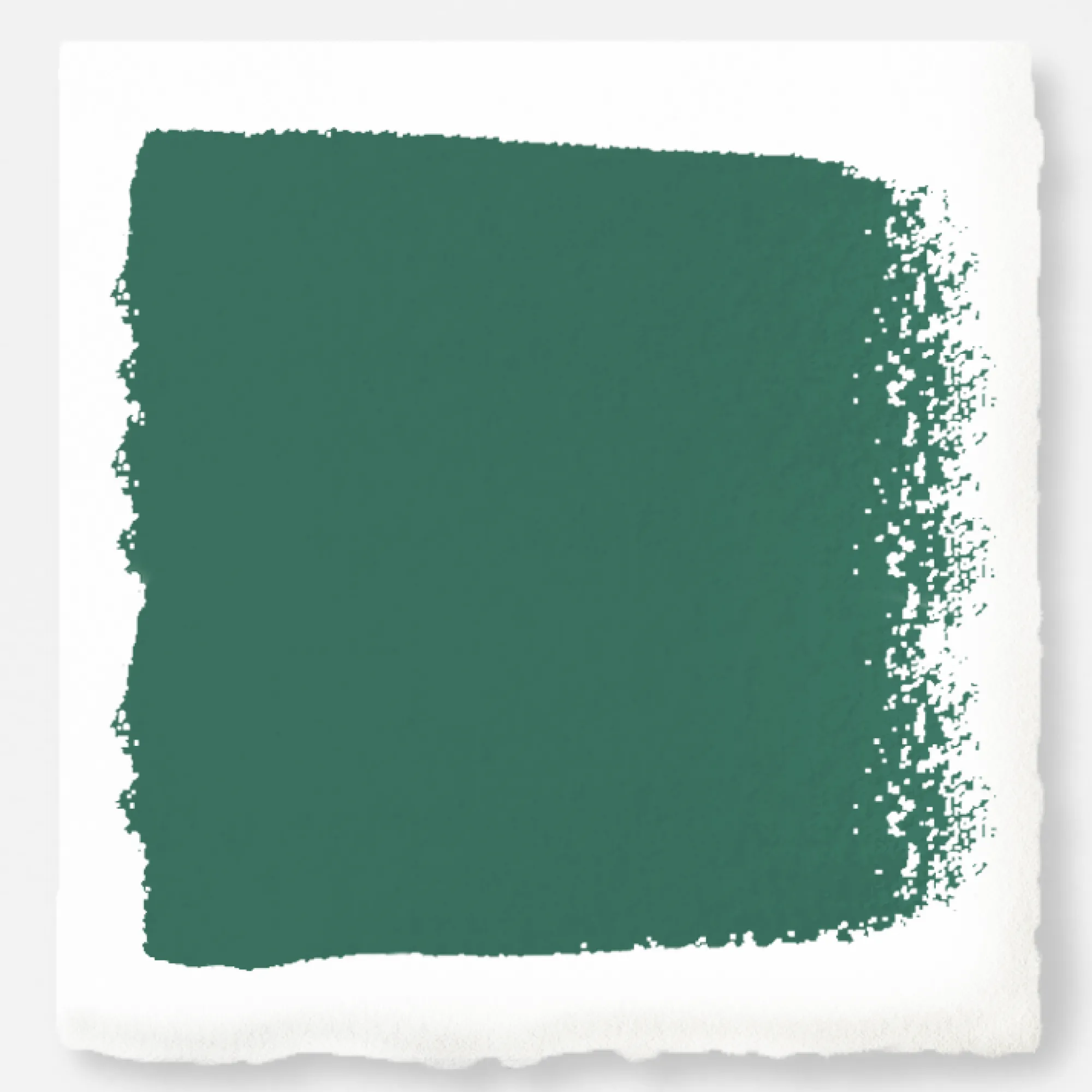VND0188 Kilz - Masco Coatings Aspen Leaf - Premium Interior Paint