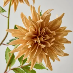 VND0078 K & K Interiors, Inc. Autumnal Dahlia