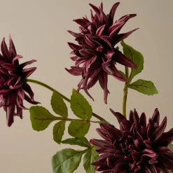VND0078 K & K Interiors, Inc. Autumnal Dahlia