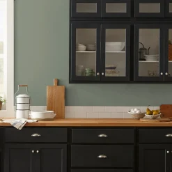 VND0188 Kilz - Masco Coatings Bespoke Green - Premium Interior Paint