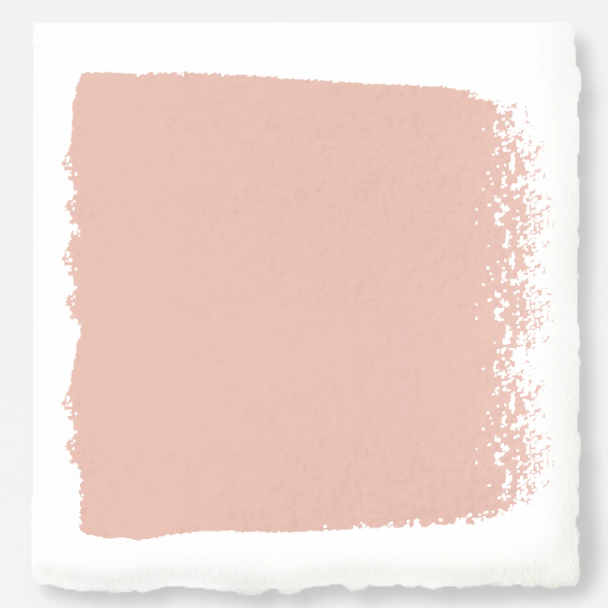 VND0188 Kilz - Masco Coatings Cabbage Rose - Premium Interior Paint