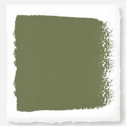VND0188 Kilz - Masco Coatings Celery Seed - Chalk Style Paint