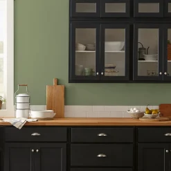 VND0188 Kilz - Masco Coatings Celery Seeds - Classic Interior Paint