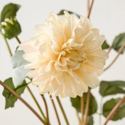 VND0078 K & K Interiors, Inc. Dahlia Bloom Bundle