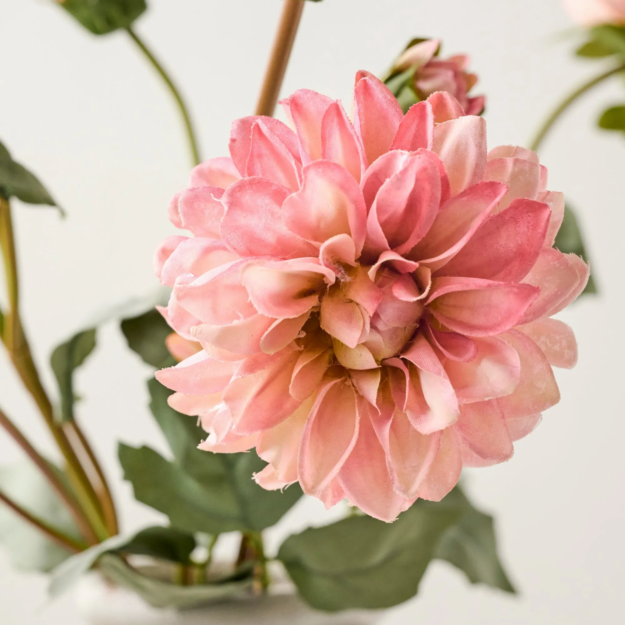 VND0078 K & K Interiors, Inc. Dahlia Bloom Bundle
