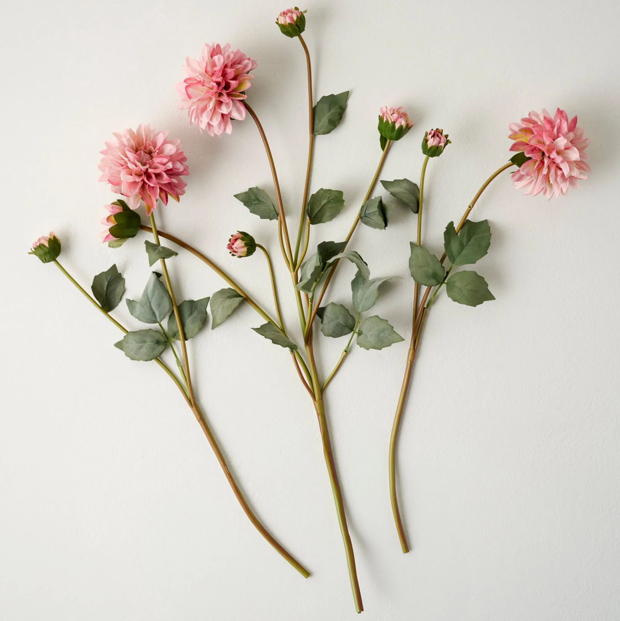 VND0078 K & K Interiors, Inc. Dahlia Bloom Bundle