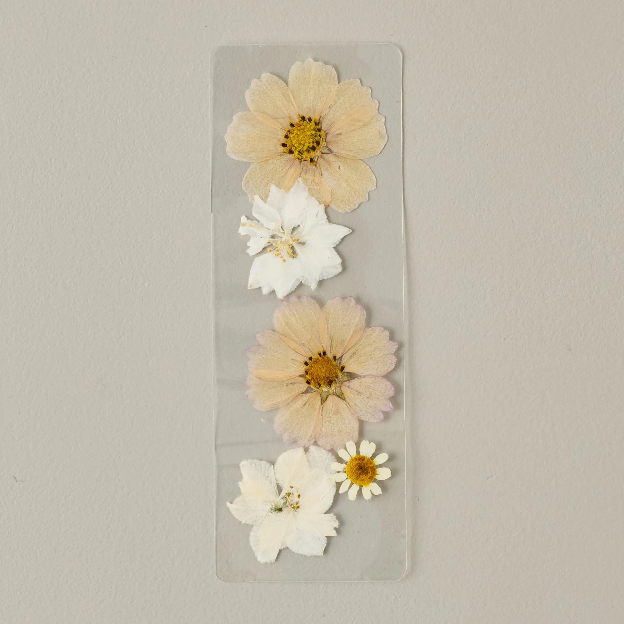 VND8072 PAGE PETAL Daisy and Cosmo Pressed Floral Bookmark