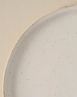 VND6562 Chaozhou Highland Crafts Company Ltd French White Speckle Plate