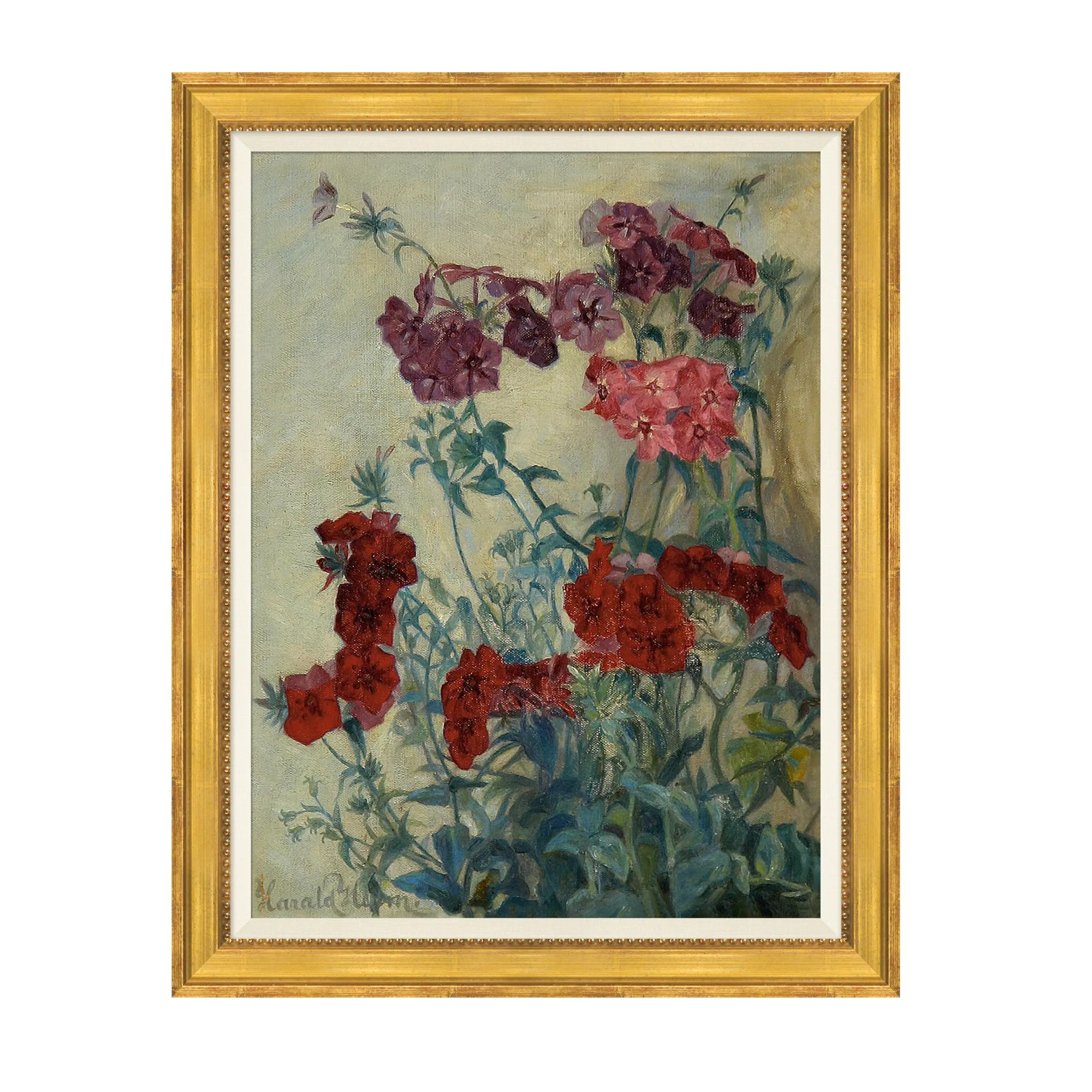 VND6204 Soicher Marin of Florida Garnet Blooms