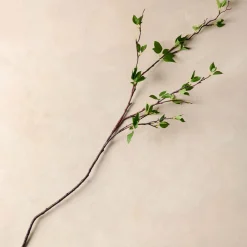 VND0078 K & K Interiors, Inc. Green Leaf Branch