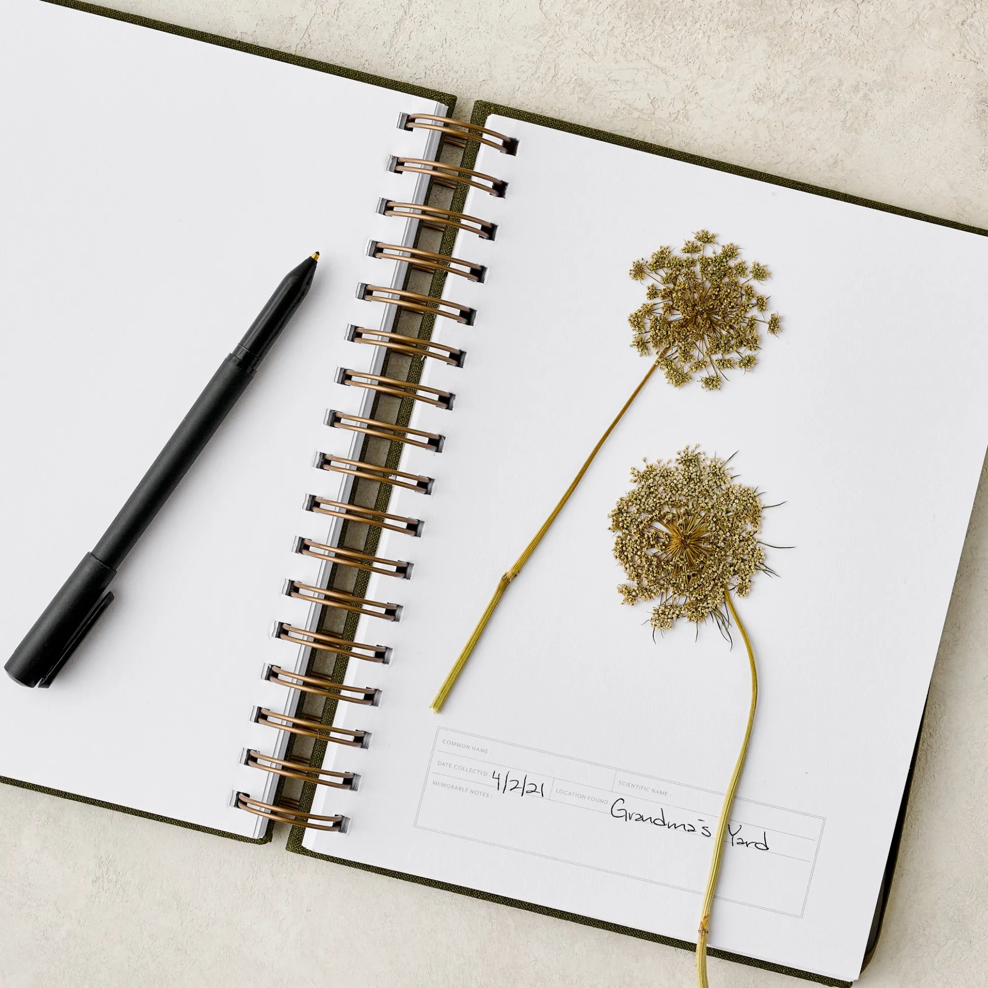 VND8066 Paper Ink and Earth LLC Herbarium Journal