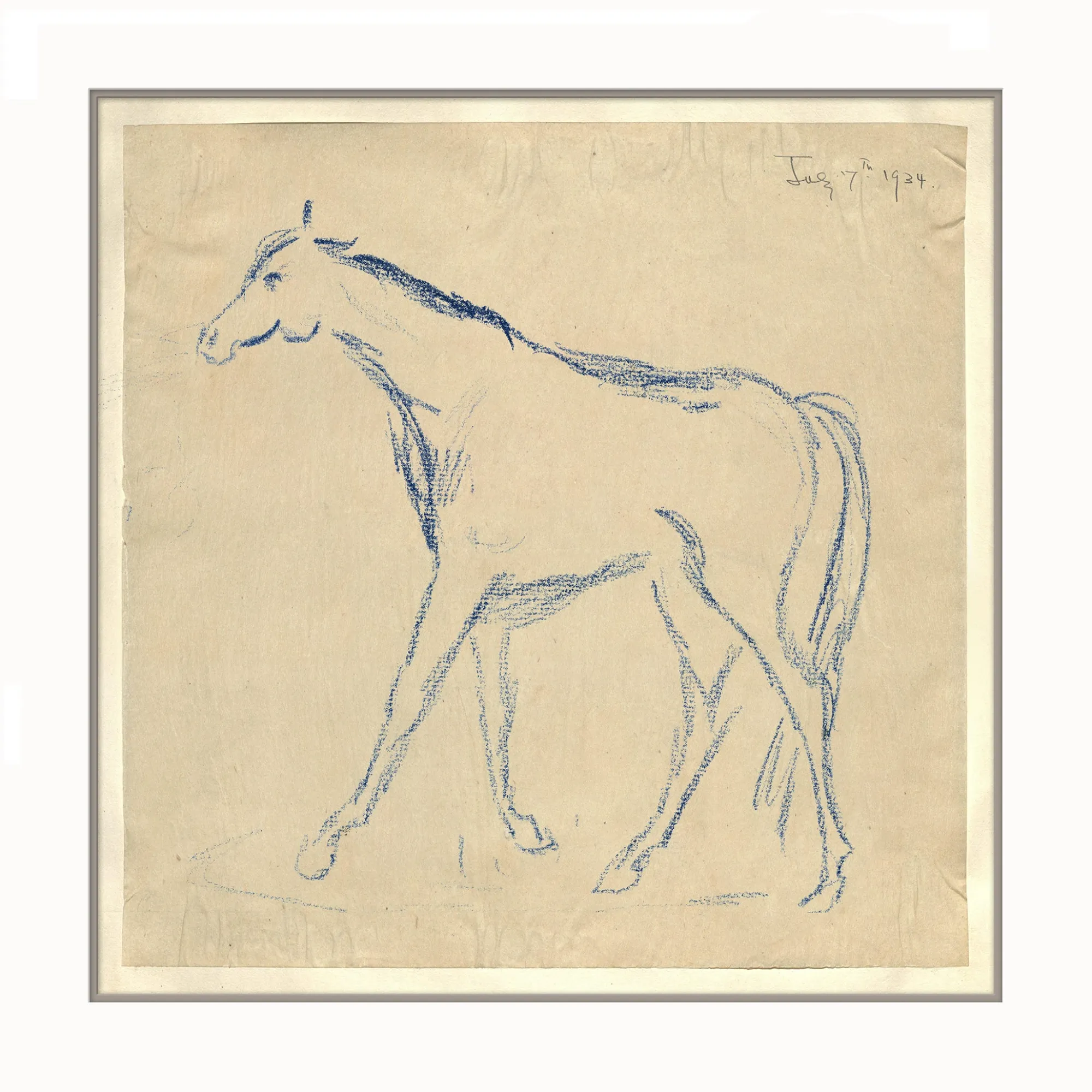 VND6204 Soicher Marin of Florida Horse Sketch