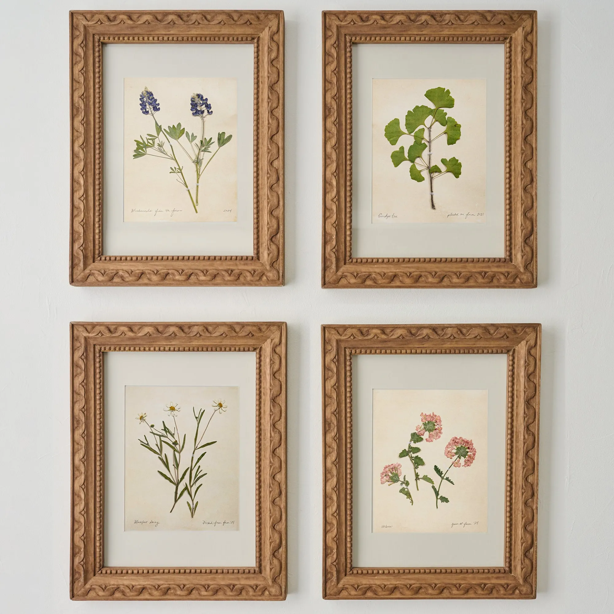 VND5151 Peel Enterprises Inc Jo's Hand Pressed Herbarium Prints - Ginkgo Tree '21