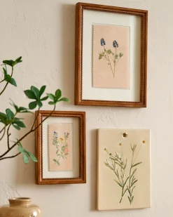 VND8577 GUANGDONG QUANFU CERAMICS INDUSTRIAL CO., LTD. Jo's Herbarium Ceramic Wall Plaque - Collected Daisies