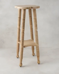 VND7924 Abhinav Exports Jude Plant Stand