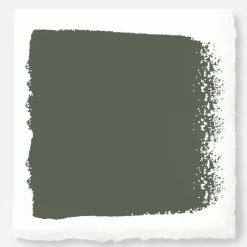 VND0188 Kilz - Masco Coatings Lemon Leaves - Classic Interior Paint