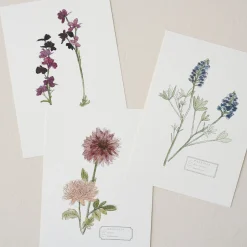 VND5090 Thomas Graphics Inc. Magnolia Garden Card Set