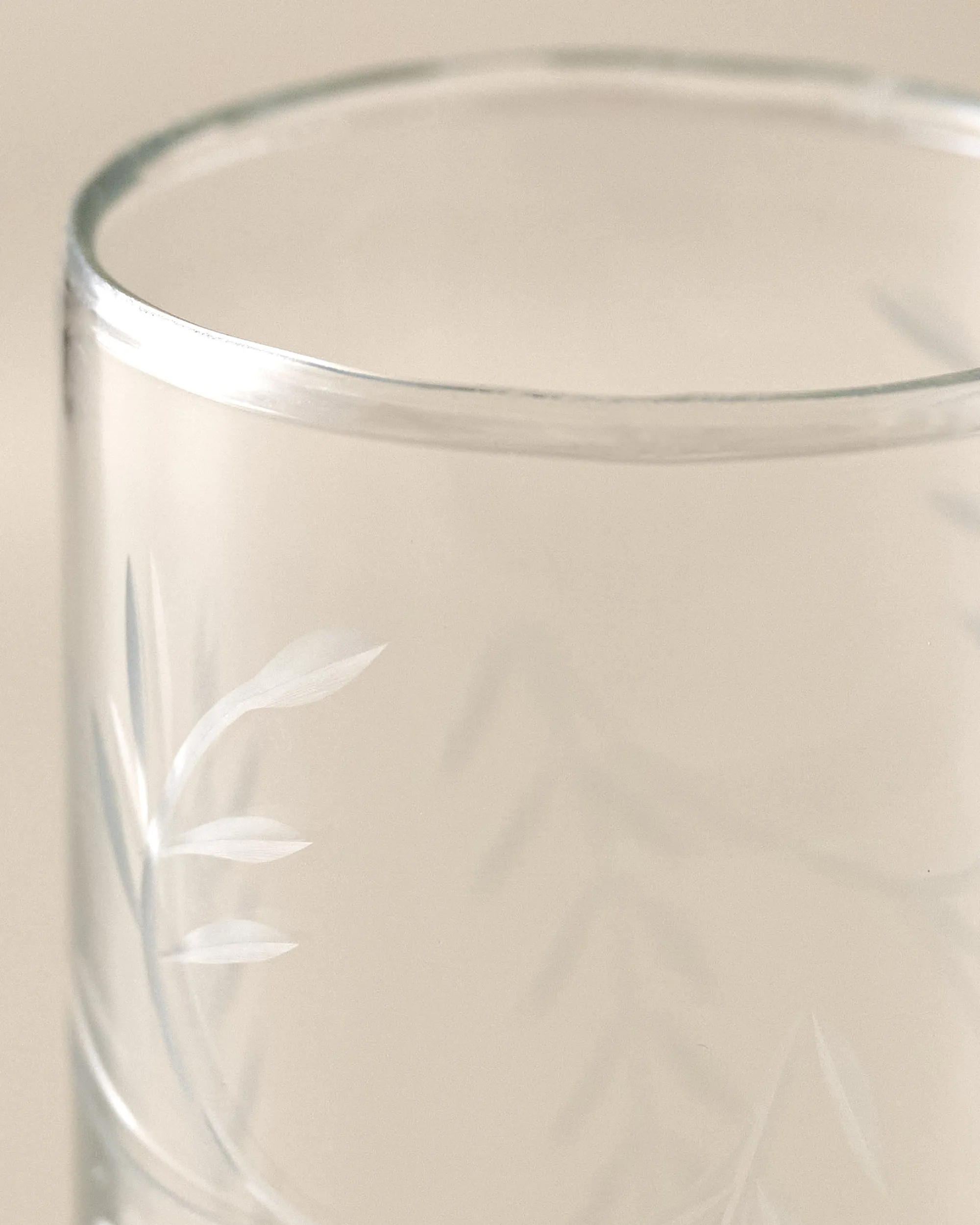 VND7004 BKG OVERSEAS Marlowe Etched Glass Tumbler