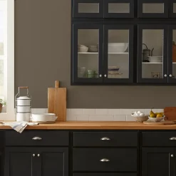 VND0188 Kilz - Masco Coatings Mosswood - Classic Interior Paint