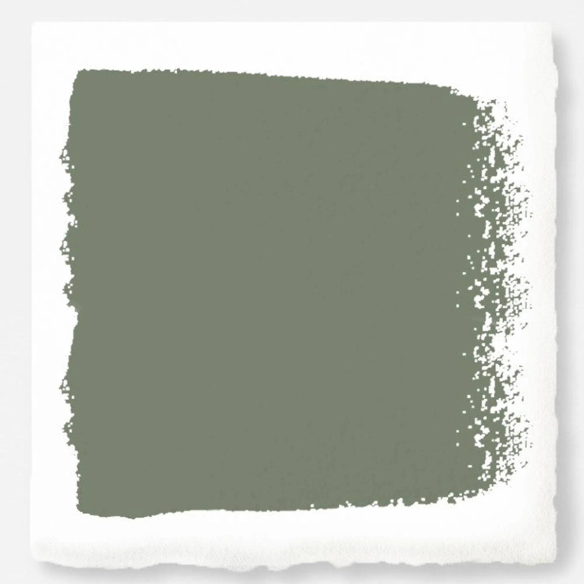 VND0188 Kilz - Masco Coatings Olive Grove - Classic Interior Paint