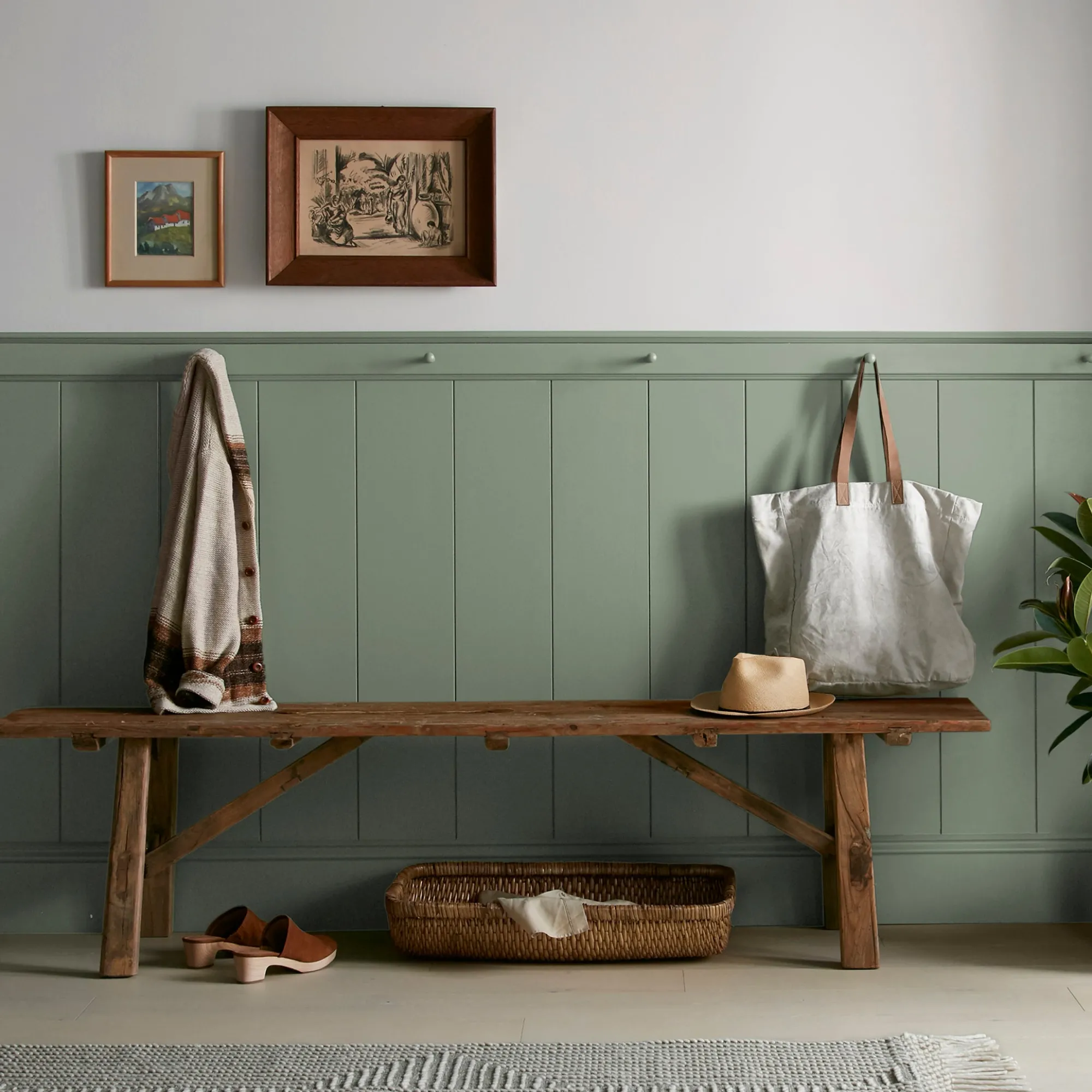 VND0188 Kilz - Masco Coatings Olive Grove - Premium Interior Paint