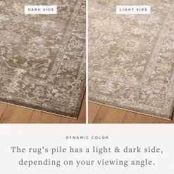 VND0086 Loloi Inc Pace Bark Natural Rug