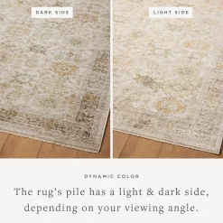 VND0086 Loloi Inc Pace Natural Multi Rug