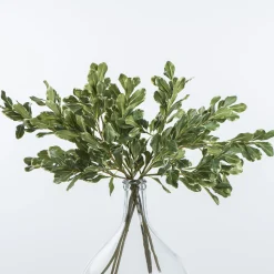 VND0078 K & K Interiors, Inc. Pittosporum Leaf Stem