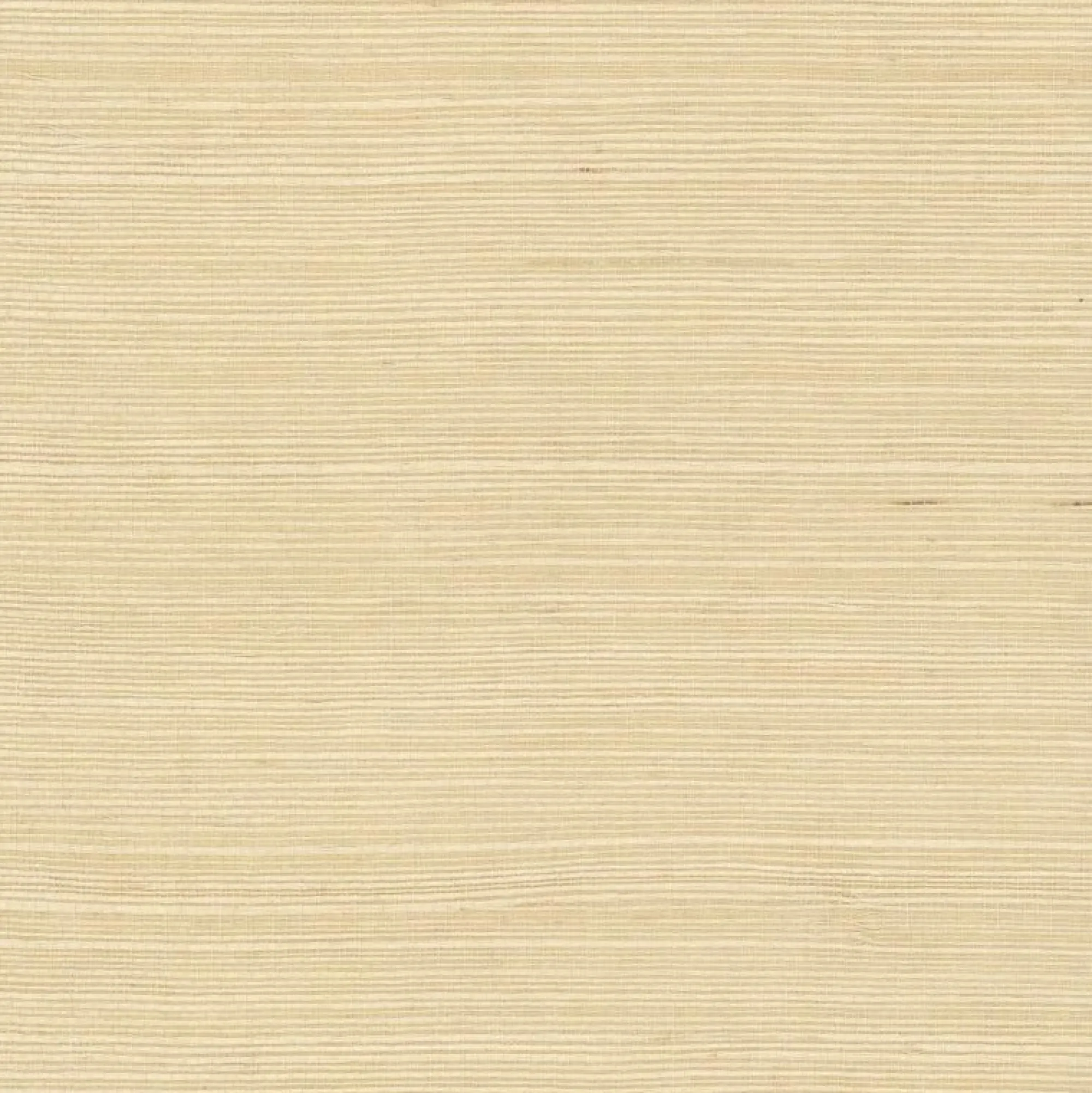 VND2730 York Wallcoverings Plain Grass Wallpaper