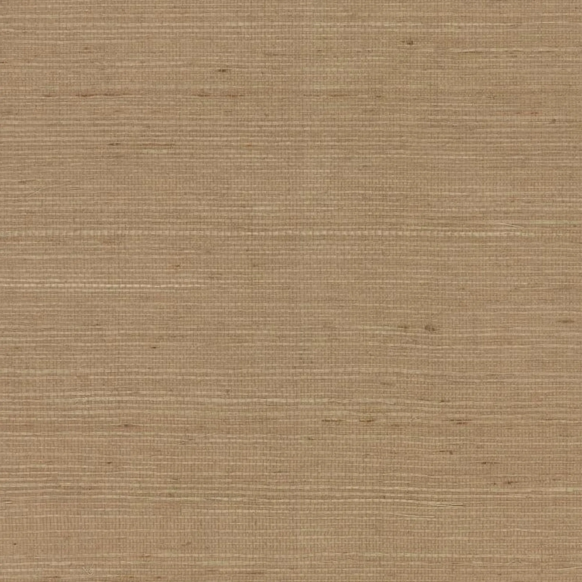 VND2730 York Wallcoverings Plain Grass Wallpaper