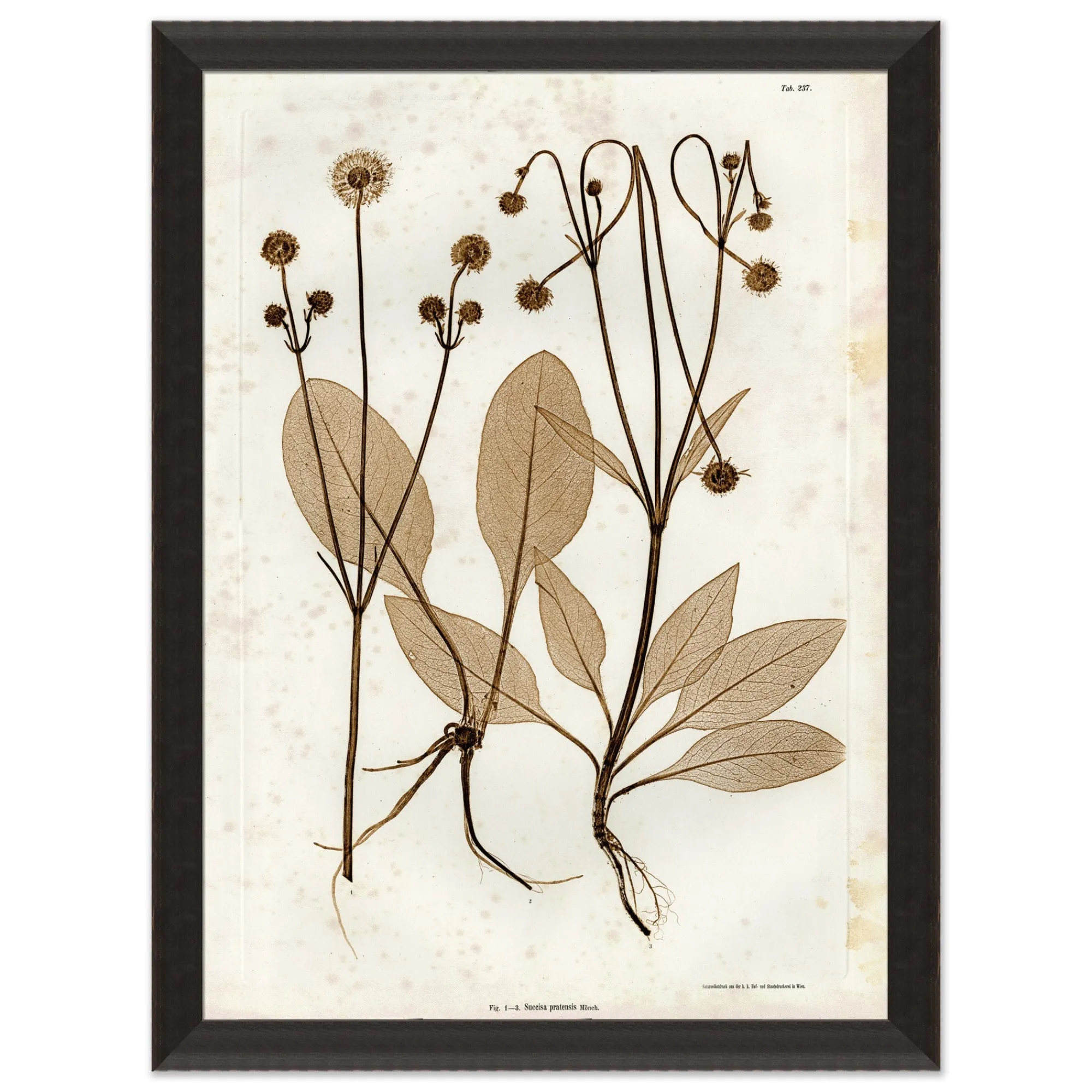 VND6140 Art Headquarters LLC Preserved Plants III