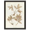 VND6140 Art Headquarters LLC Preserved Plants IV