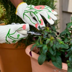 VND8531 My Little Belleville Ranunculus Adult Garden Gloves