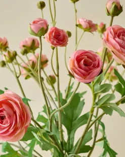 VND0078 K & K Interiors, Inc. Ranunculus Bloom Bundle