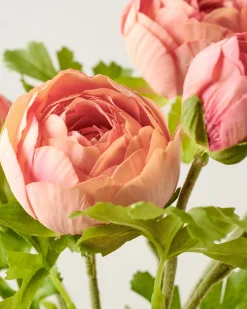 VND0078 K & K Interiors, Inc. Real Touch Ranunculus Stem