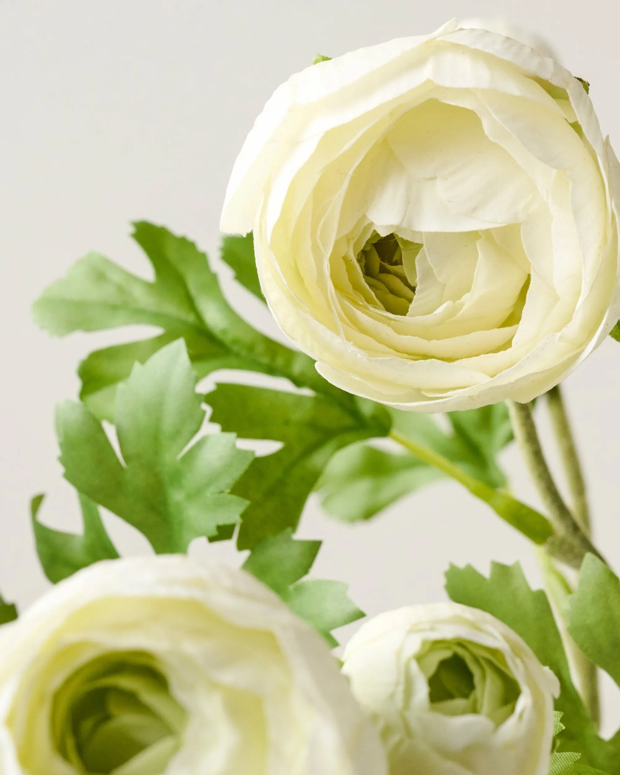 VND0078 K & K Interiors, Inc. Real Touch Ranunculus Stem