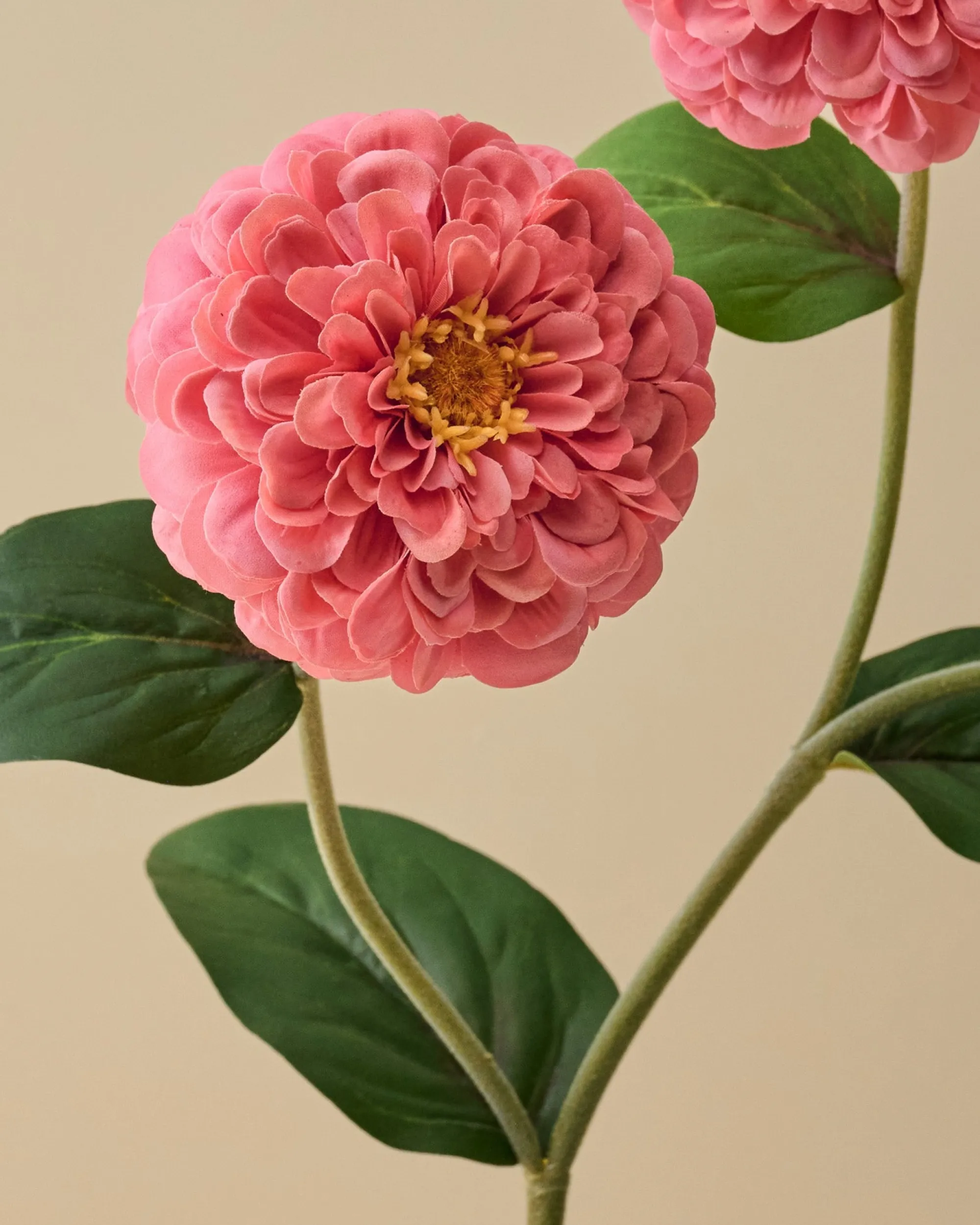 VND7816 UCP INTERNATIONAL CO., LTD Real Touch Zinnia Stem