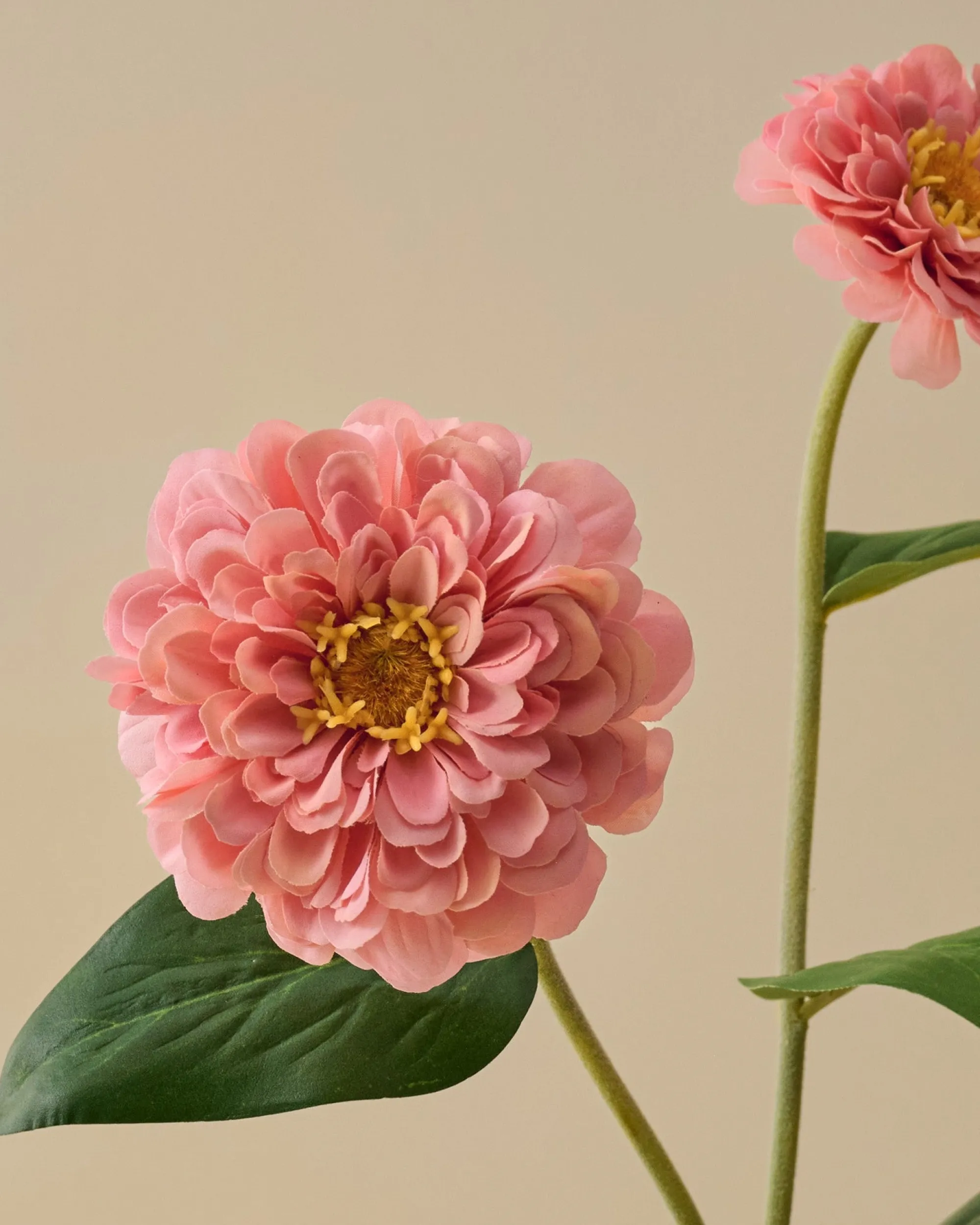 VND7816 UCP INTERNATIONAL CO., LTD Real Touch Zinnia Stem