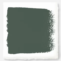 VND0188 Kilz - Masco Coatings Regal Leaf - Chalk Style Paint