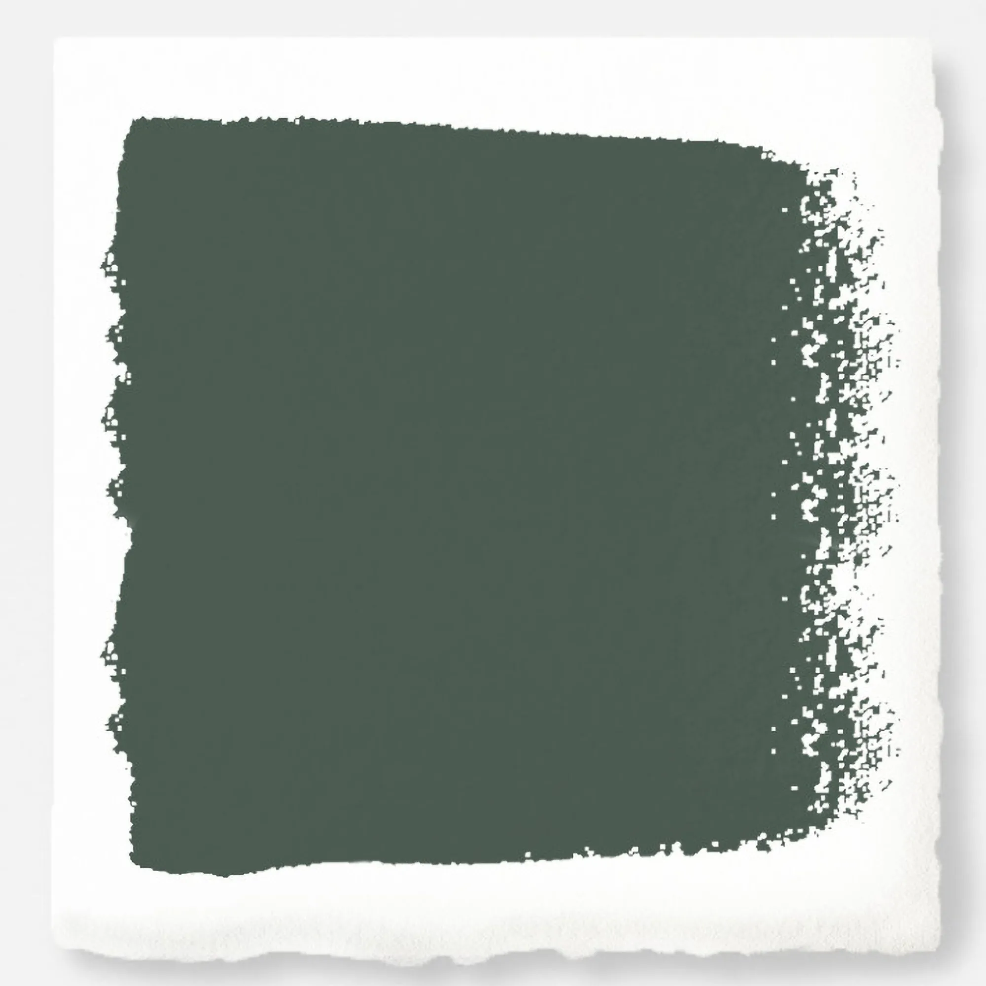 VND0188 Kilz - Masco Coatings Regal Leaf - Classic Interior Paint