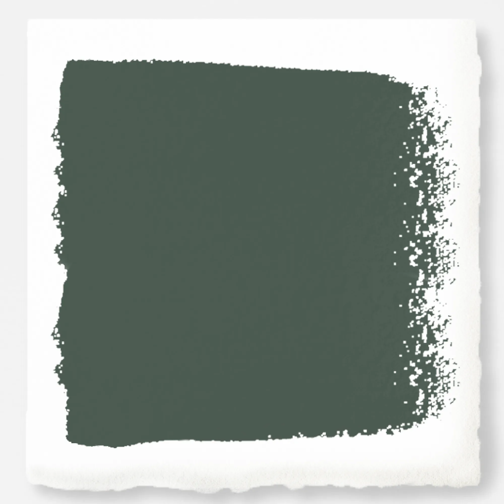 VND0188 Kilz - Masco Coatings Regal Leaf - Premium Interior Paint