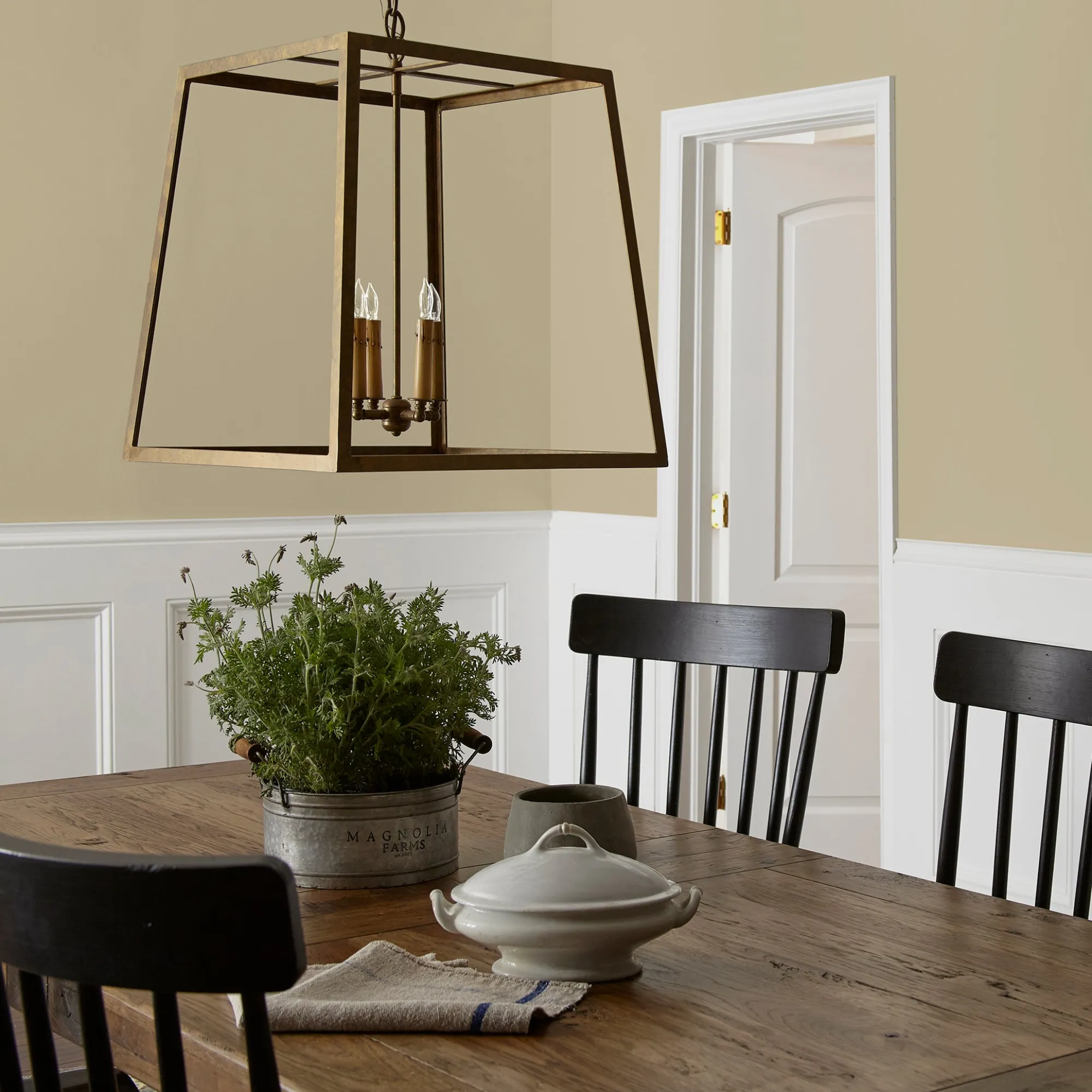 VND0188 Kilz - Masco Coatings Sour Apple - Classic Interior Paint