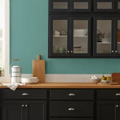 VND0188 Kilz - Masco Coatings Spontaneous - Classic Interior Paint