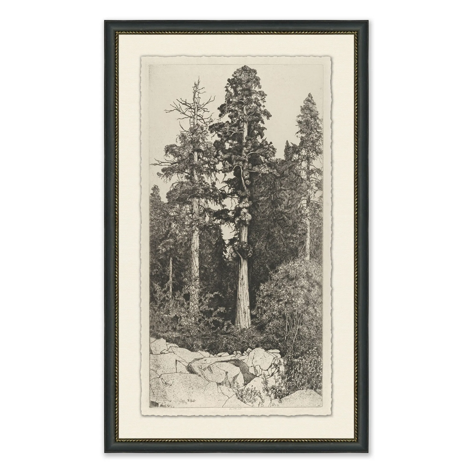 VND6140 Art Headquarters LLC Tall Trees I