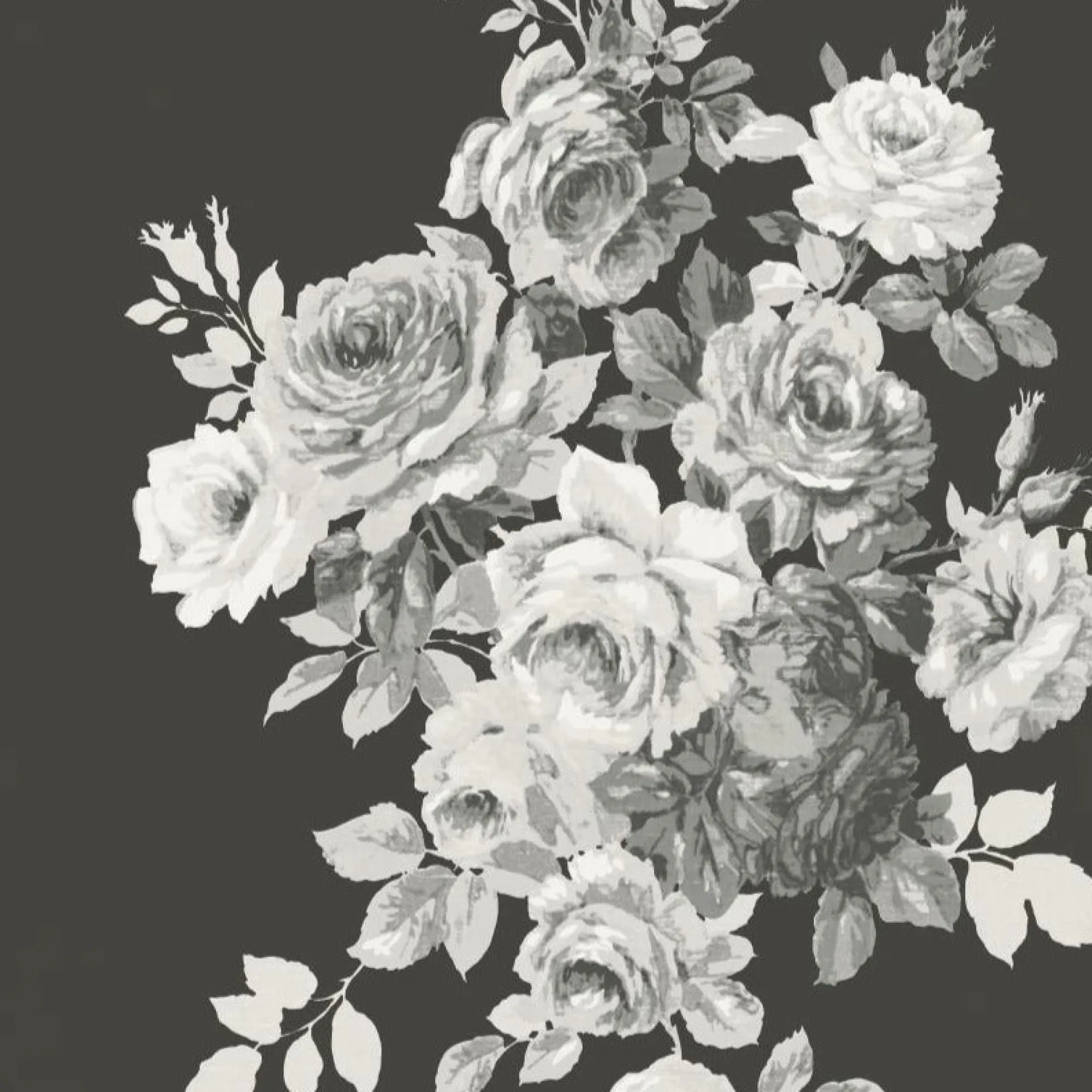 VND2730 York Wallcoverings Tea Rose Wallpaper