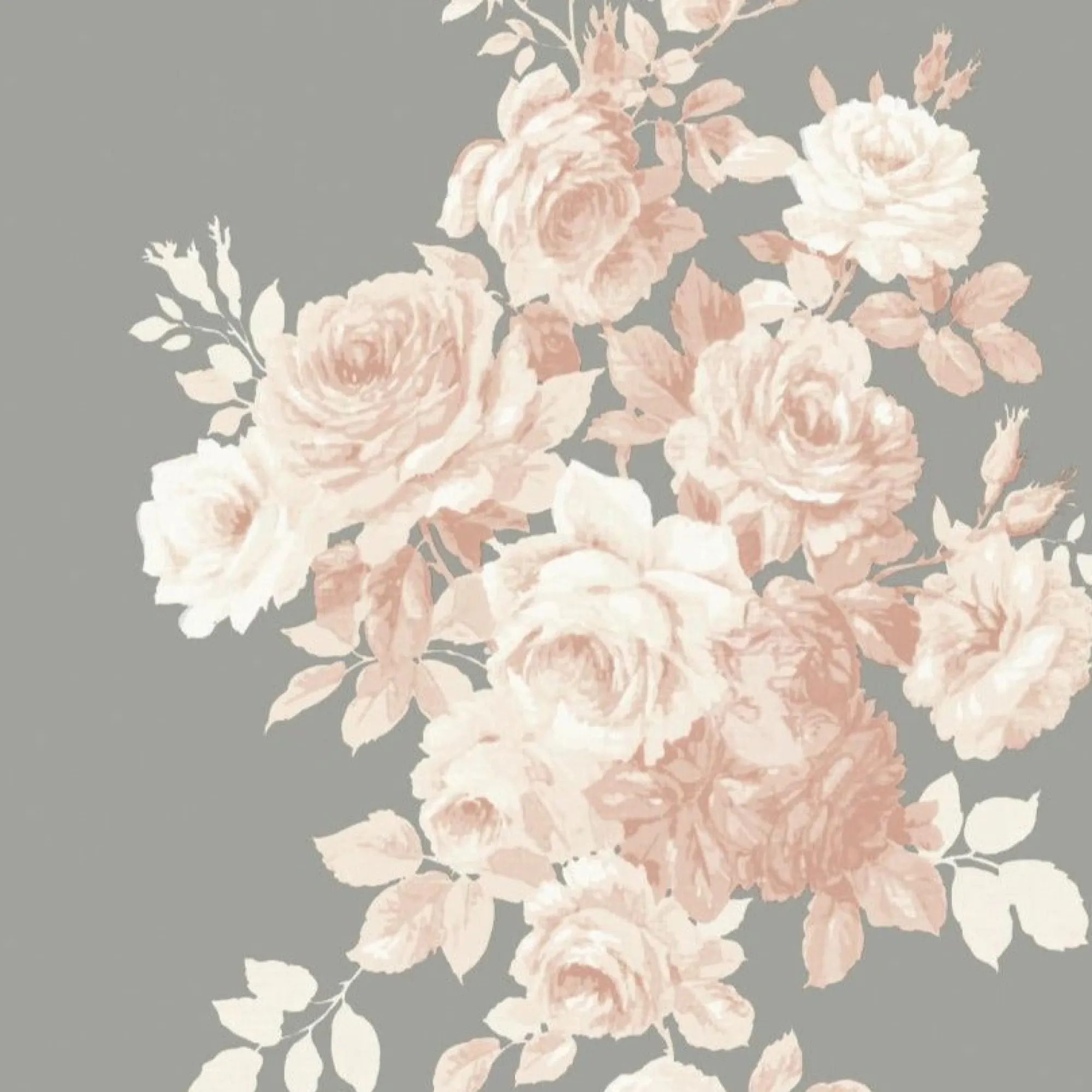 VND2730 York Wallcoverings Tea Rose Wallpaper