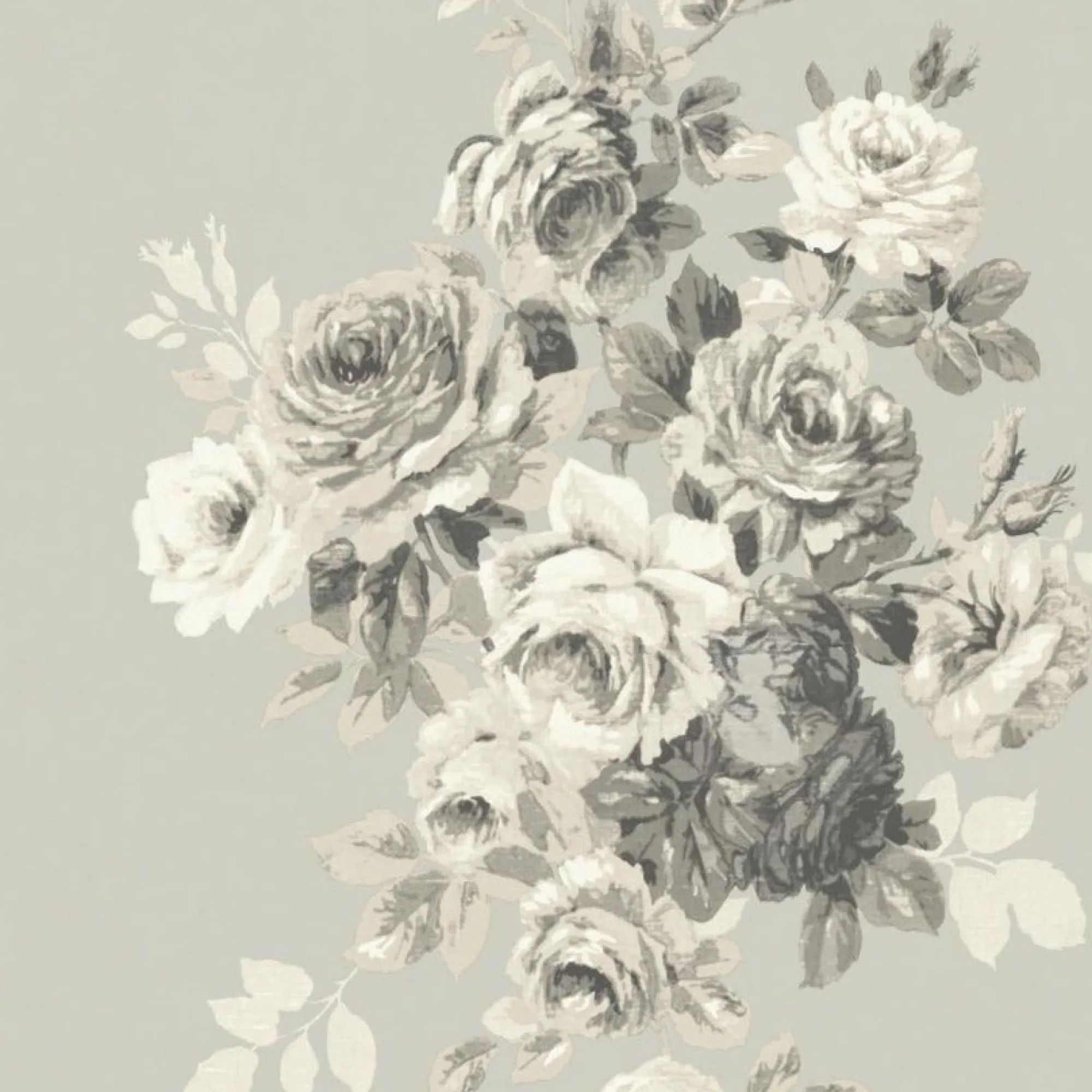 VND2730 York Wallcoverings Tea Rose Wallpaper