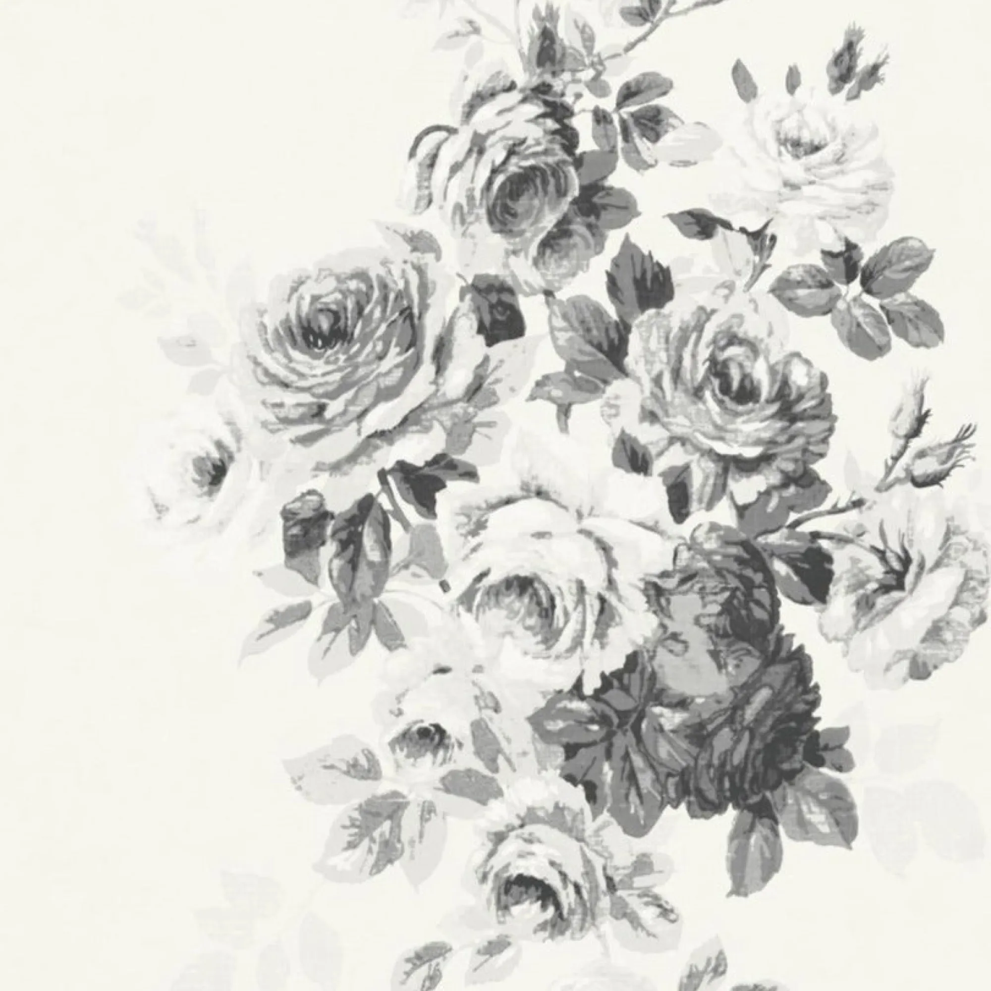 VND2730 York Wallcoverings Tea Rose Wallpaper